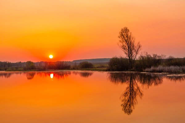 Весенний рассвет