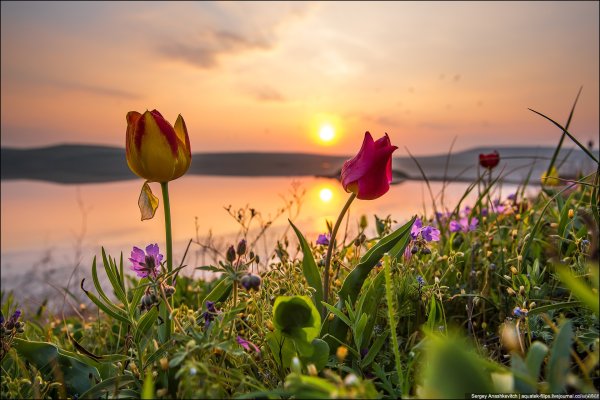 Природа утром