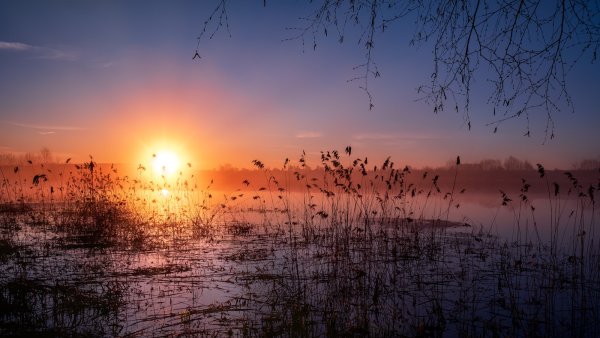 Рассвет весной