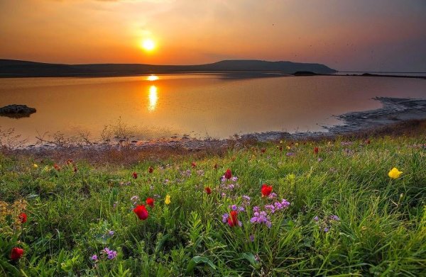 Весенний рассвет