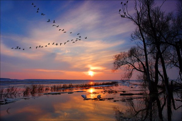 Весенний рассвет