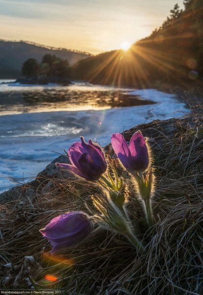 Апрельское солнце
