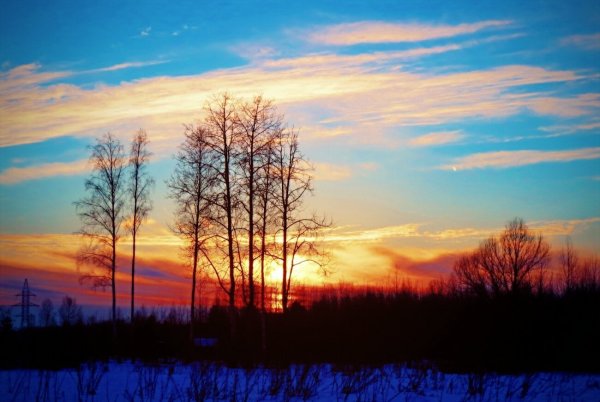 Утро природа