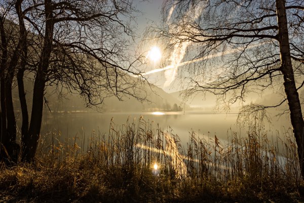 Весна рассвет