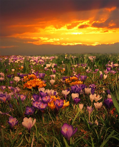 Красивый весенний закат