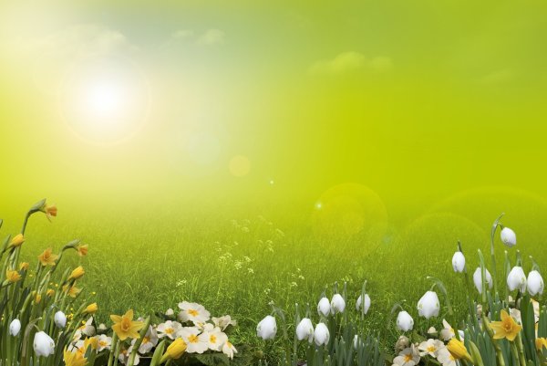 Фон для презентации Весна