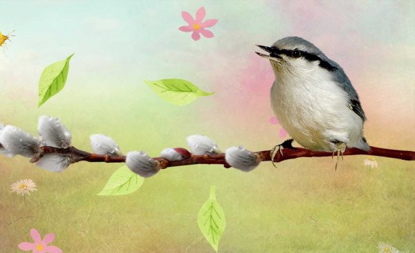 Подснежники фон