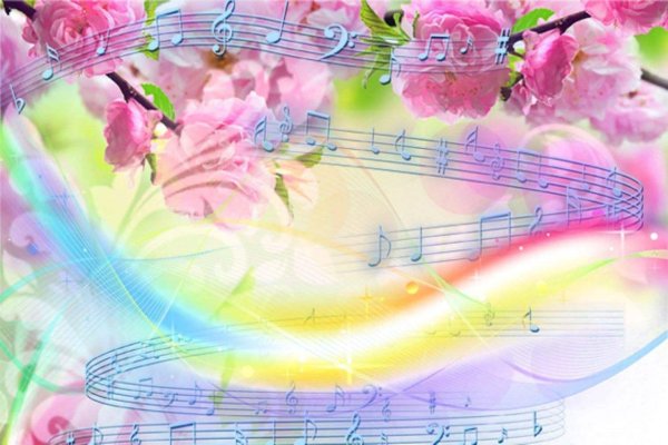 Птица под дождем