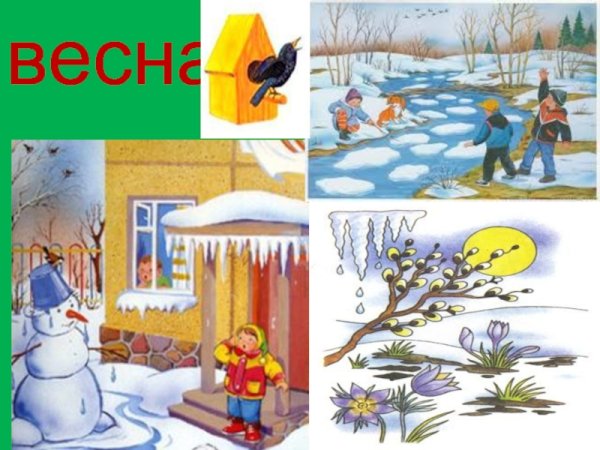 Птицы в весеннем лесу