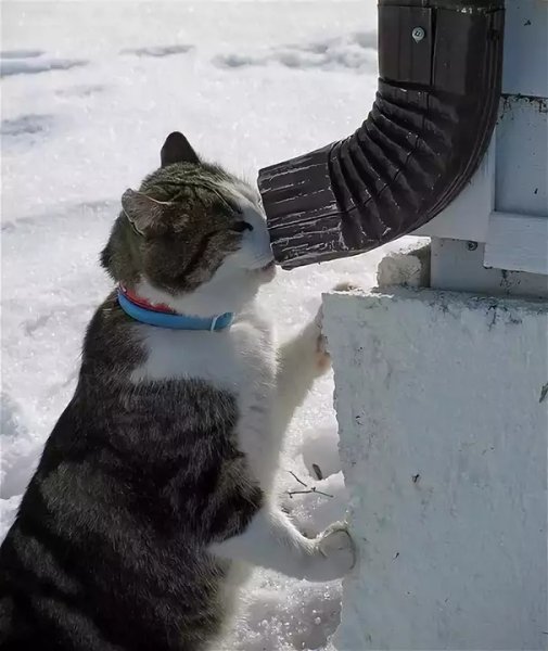 Открытки запахло весной