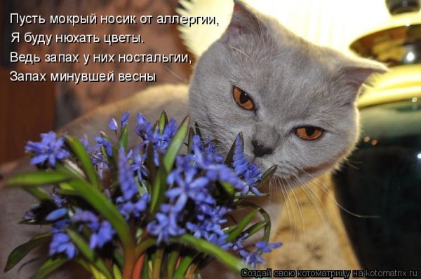 Скоро Весна