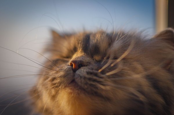 Первый день весны прикол