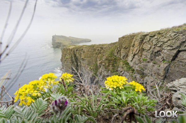 Приморская Весна