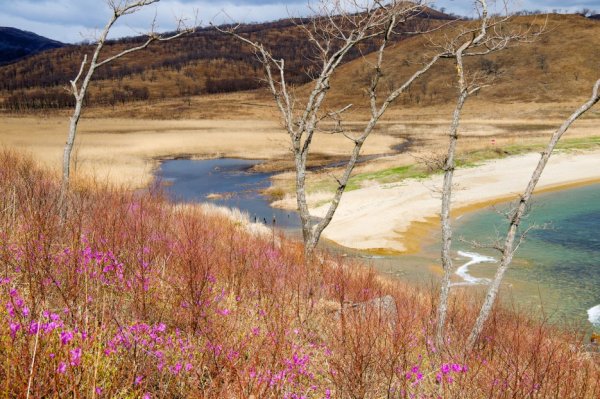 Ханка весной Приморский край