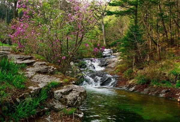 Приморский край Весна природа