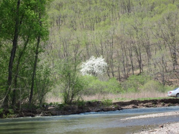 Стеклянуха Шкотовский район