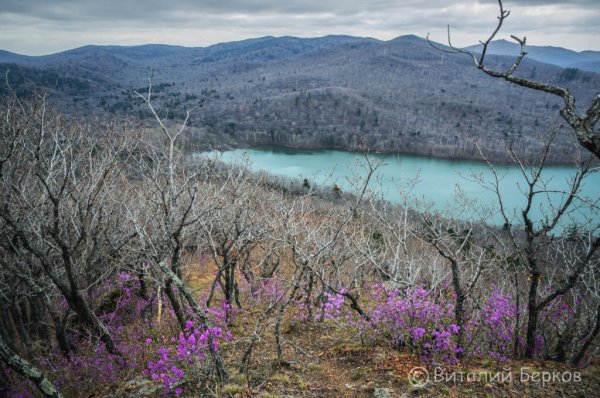 Приморье в апреле