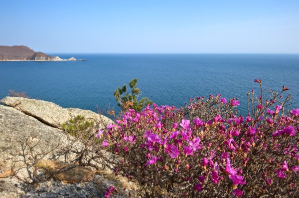 Полуостров Краббе бухта Агатовая