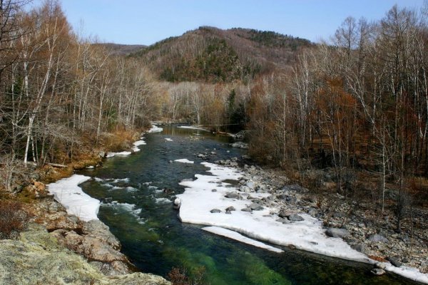 Сопка с багульником Хабаровский край