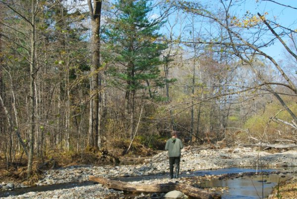 Багульник на Байкале
