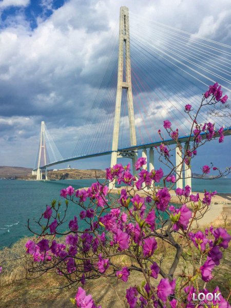 Приморский край Весна, цветение