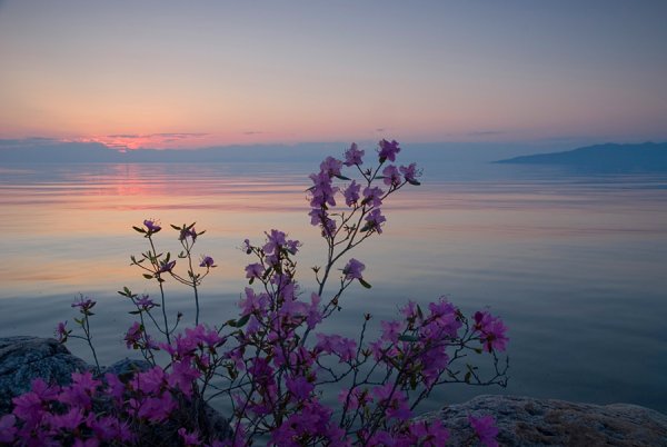Сопки Владивостока весной