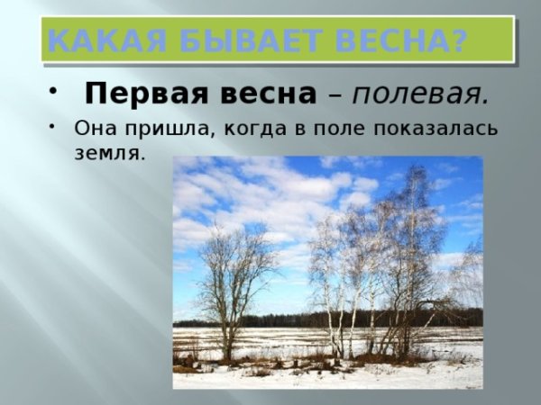 Весна Полевая