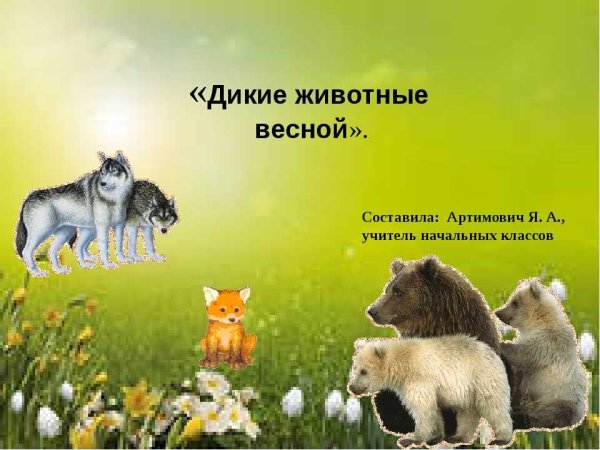 Звери весной презентация