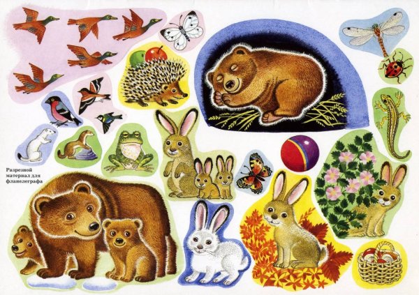 Природа для фланелеграфа