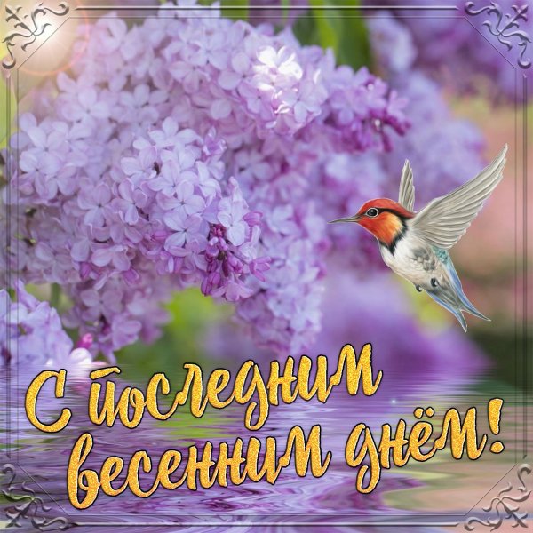 С последним весенним днем