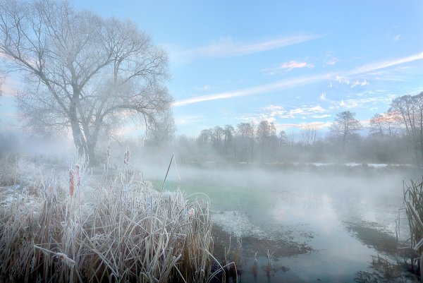 Утро поздняя осень