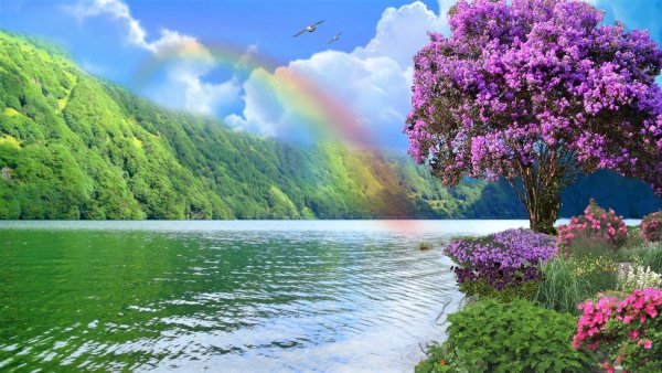 Сказочные цветы и бабочки