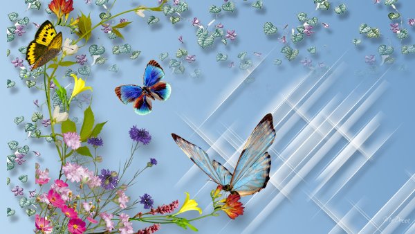 Летняя природа