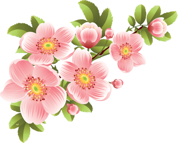 Весенний клипарт на прозрачном фоне