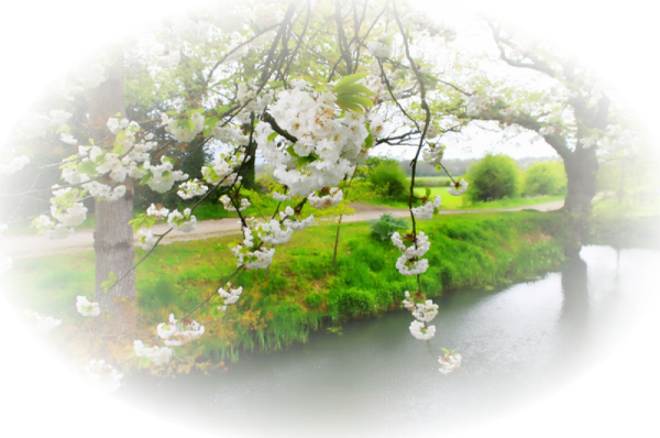 Весенний клипарт на прозрачном фоне