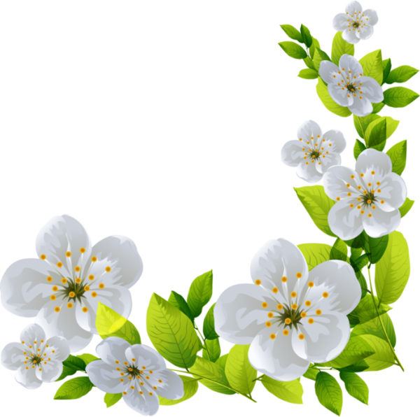 Весенний клипарт на прозрачном фоне