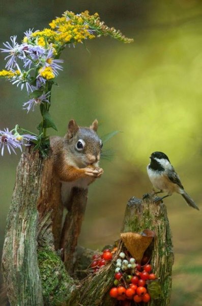 Животные весной