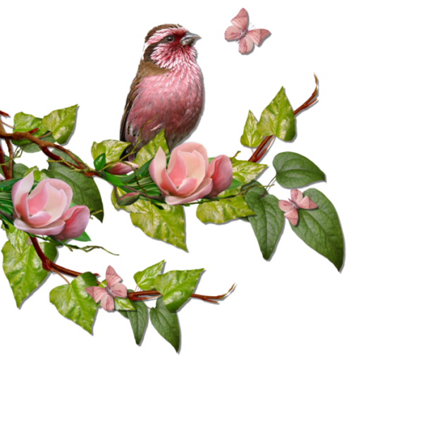 Веточка с цветочками