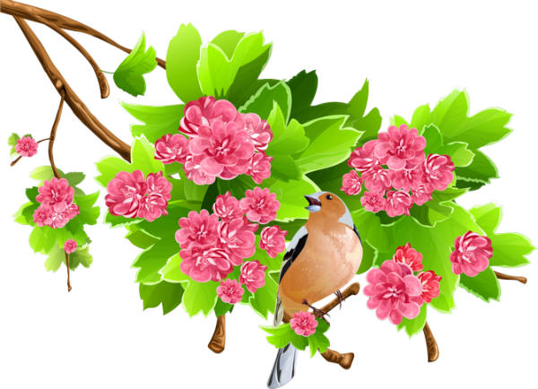 Фон с цветами и бабочками