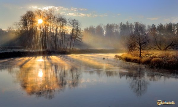 Весенний рассвет