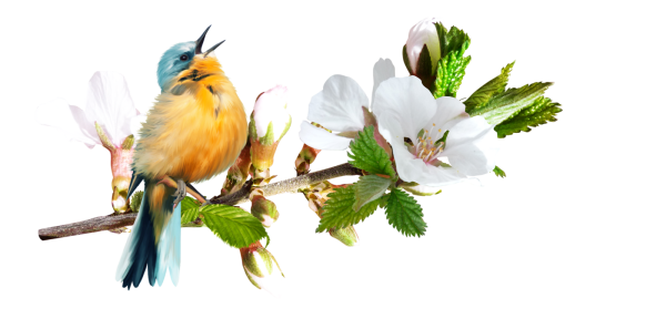 Детские клипарты