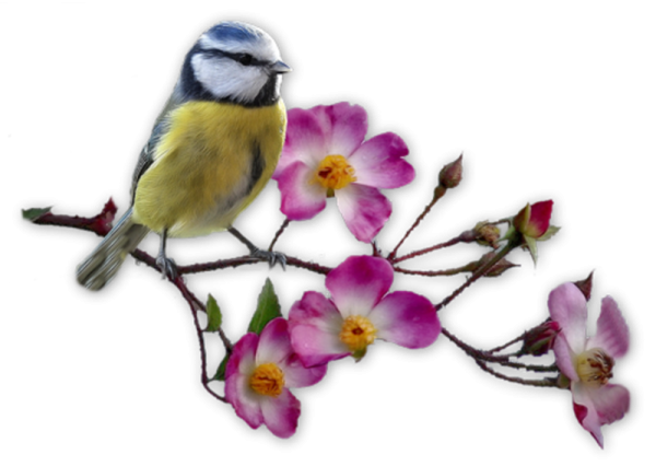 Веточка цветов