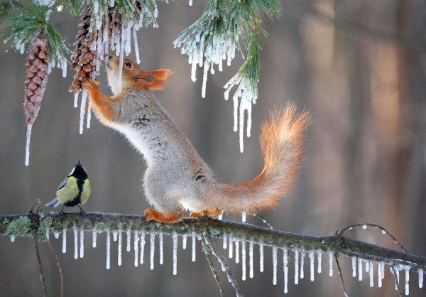 Вадим Трунов белки