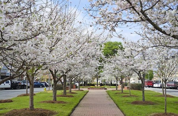 Город весной