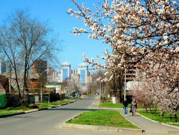 Донецк весной