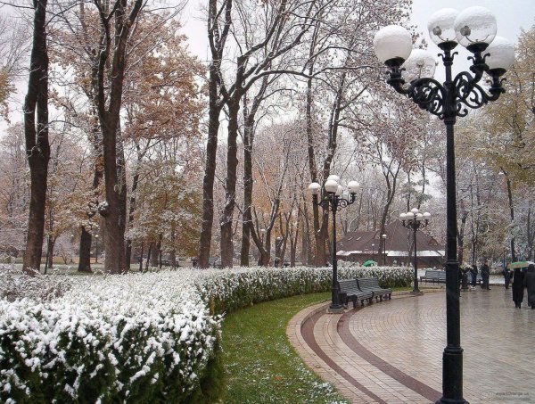 Первый снег в городском парке