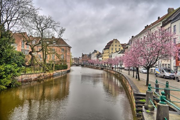 Вена (город)