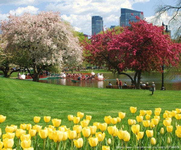 Весна в городе