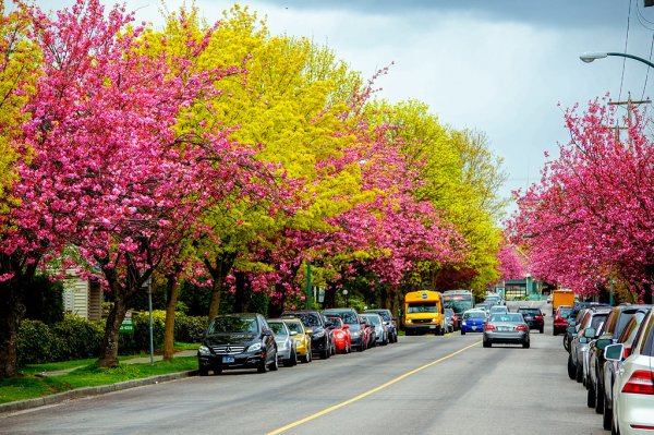 Весенний город