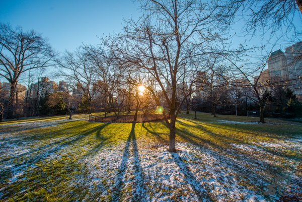 Весна в городе